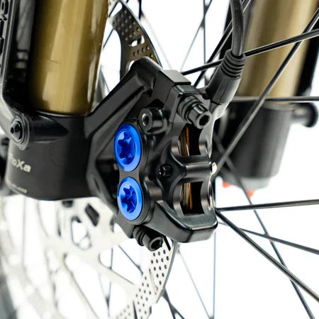 Ventus One Plus V1+ Electric Dirt Bike